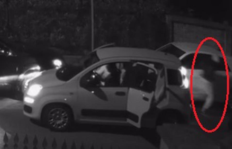 Modena L’aggressore delle ragazze in via Guicciardini incastrato dalle telecamere
