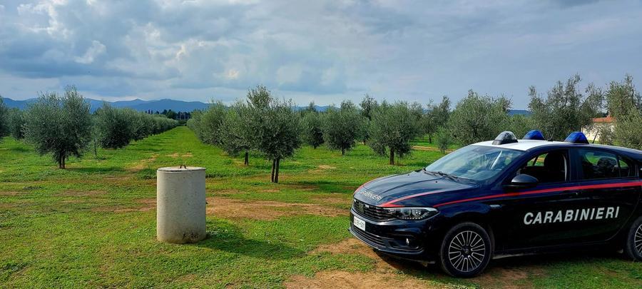 Si perdono due bambini in campagna: ritrovati dai carabinieri
