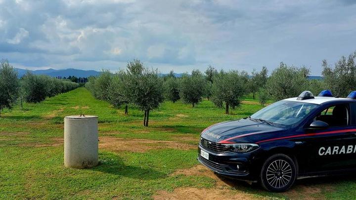 Si perdono due bambini in campagna: ritrovati dai carabinieri