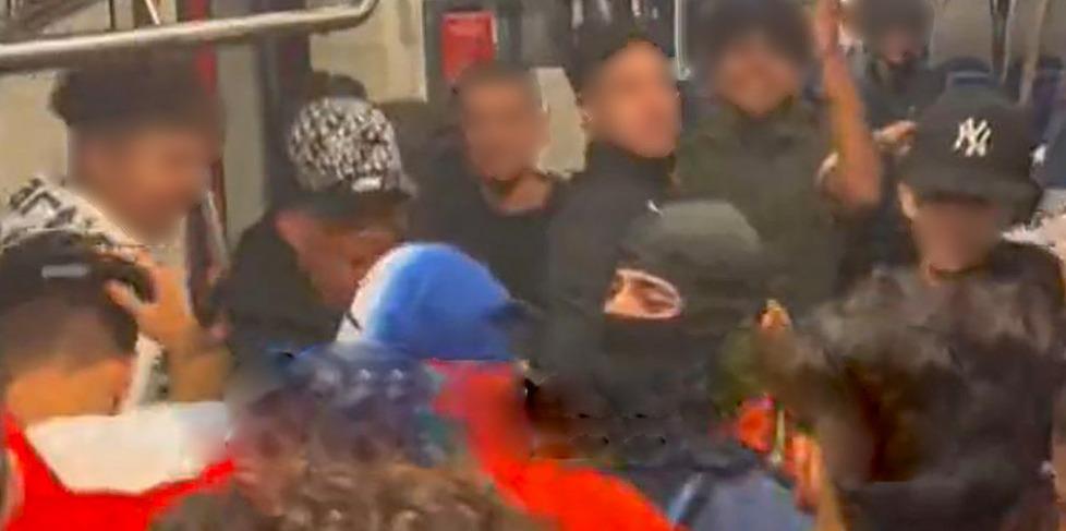 Vignola, urla e spinte: la bolgia del treno per Bologna