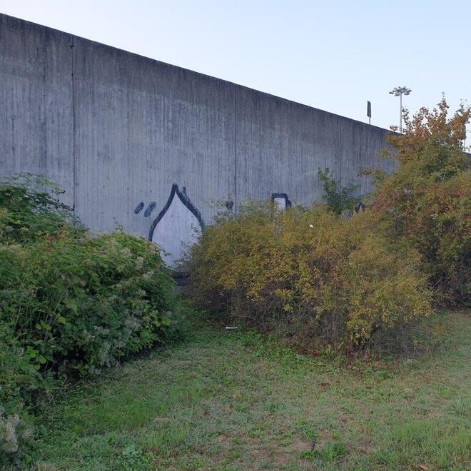 Sassuolo. «Il murale di Bros è abbandonato da tempo» Un appello al sindaco per “salvare” l’opera 