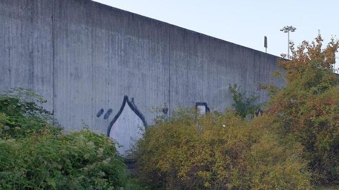 Sassuolo. «Il murale di Bros è abbandonato da tempo» Un appello al sindaco per “salvare” l’opera