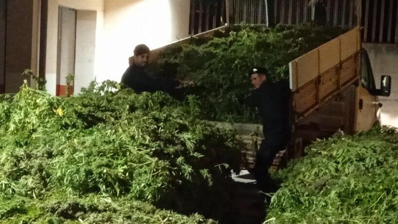Marijuana nel terreno di famiglia, i carabinieri denunciano un 19enne di Siligo