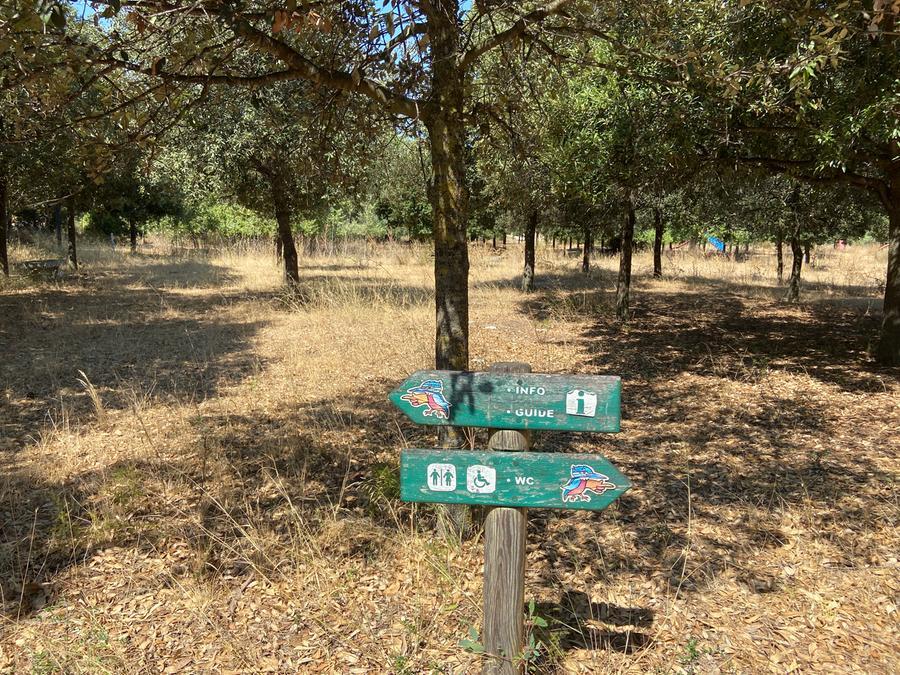 Olbia, parco del Padrongianus dimenticato: sparita la convenzione per 99 anni