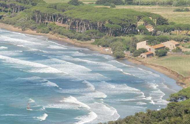 Baratti, pineta sotto scacco: 350mila euro per proteggerla 