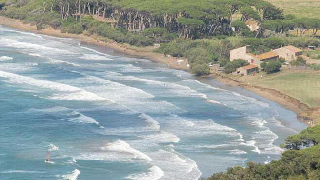 Baratti, pineta sotto scacco: 350mila euro per proteggerla