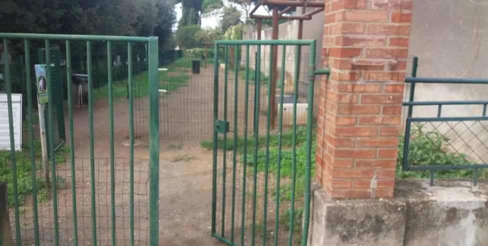 «Così sono stata aggredita». Cecina, la donna conferma la violenza 
