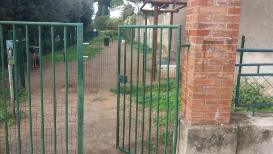 «Così sono stata aggredita». Cecina, la donna conferma la violenza