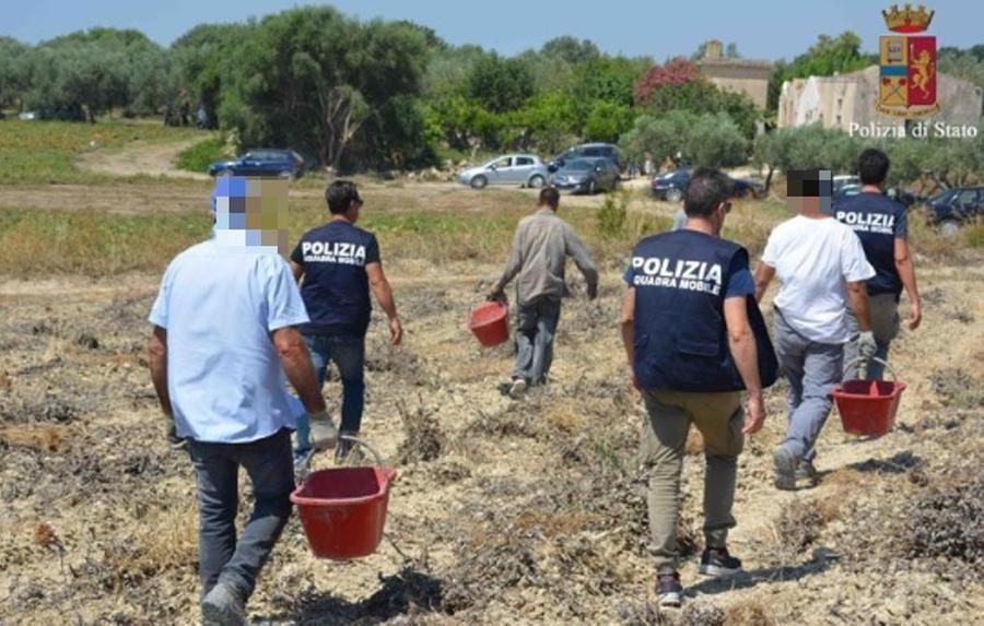 Caporalato in provincia di Grosseto, sanzioni da 37mila euro 