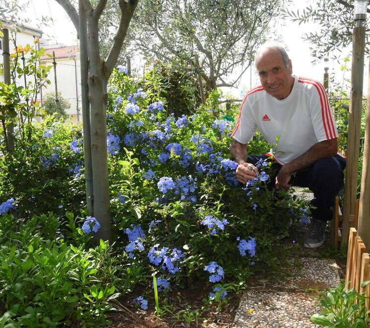 Marcello Soldati nel suo splendido “roseto” alle Stiacciole