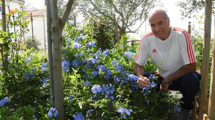 Marcello Soldati nel suo splendido “roseto” alle Stiacciole