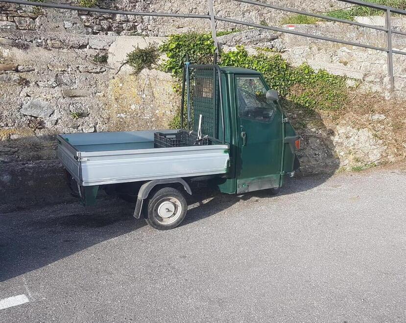 Sparò al nipote con una calibro 22 per il parcheggio: assolto per incapacità di intendere