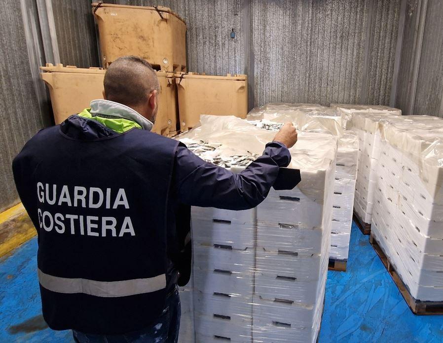 Sei tonnellate di pesce sequestrate in Toscana: dalla Cina senza documenti o di dubbia provenienza