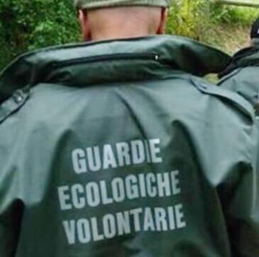 Sassuolo Solo fango e animali in pericolo nell’oasi all’asciutto 