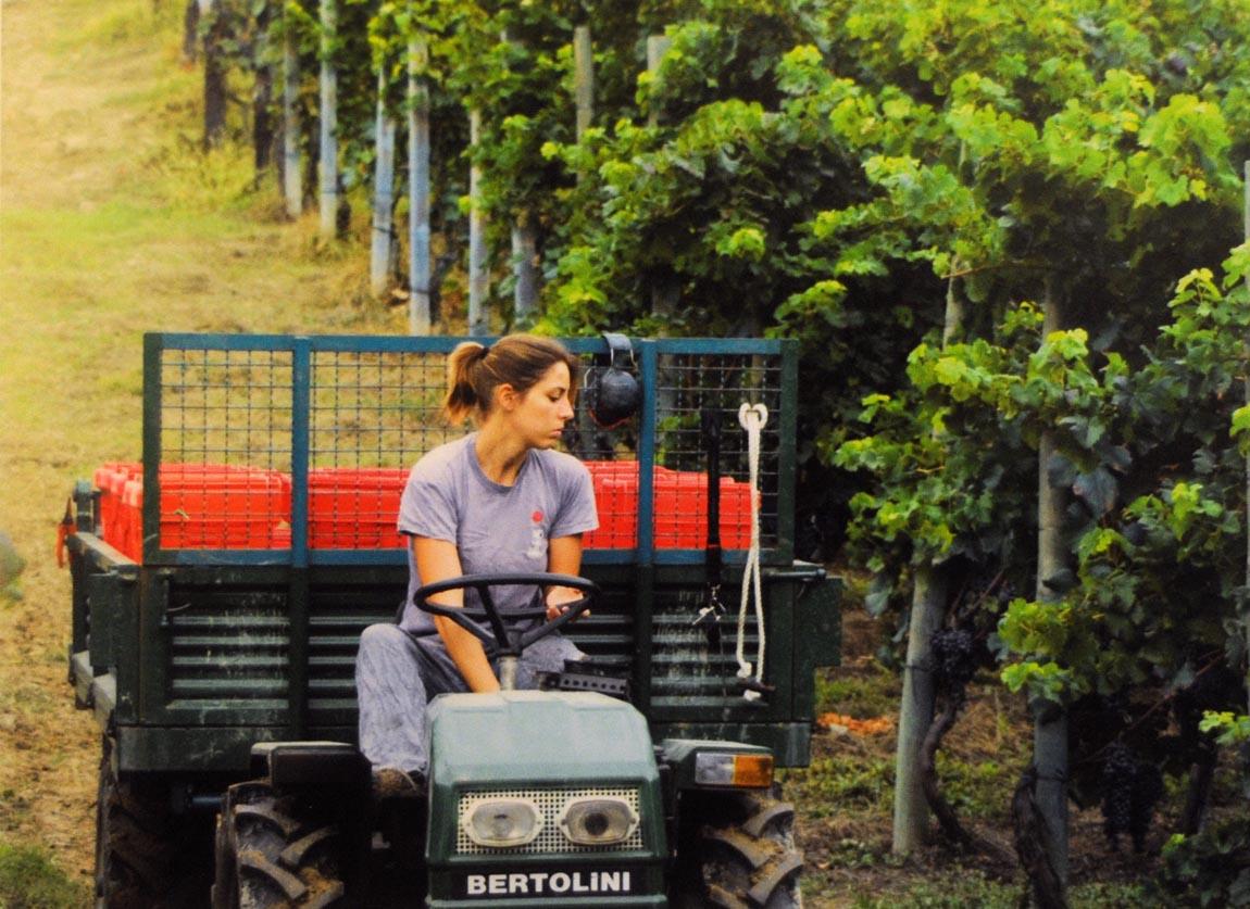 Agricoltura tra futuro “green” e deroghe