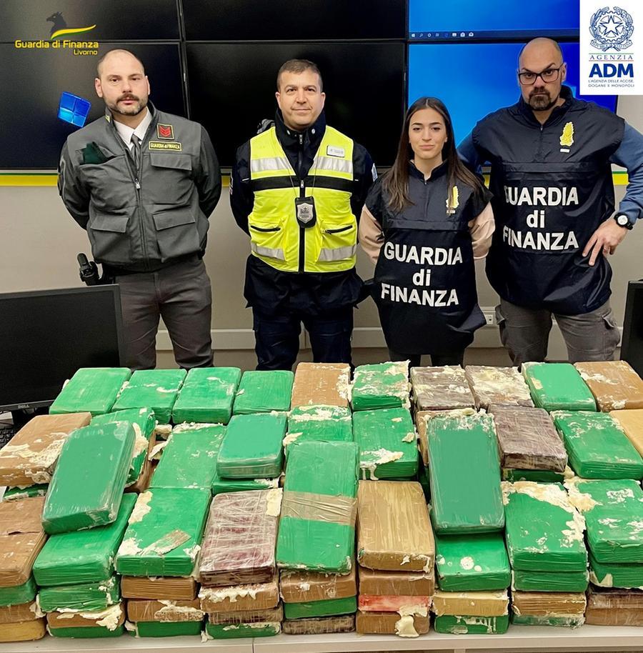 Sequestrati 208 chili di cocaina nel porto di Livorno: erano nascosti tra banane e caffè – Video
