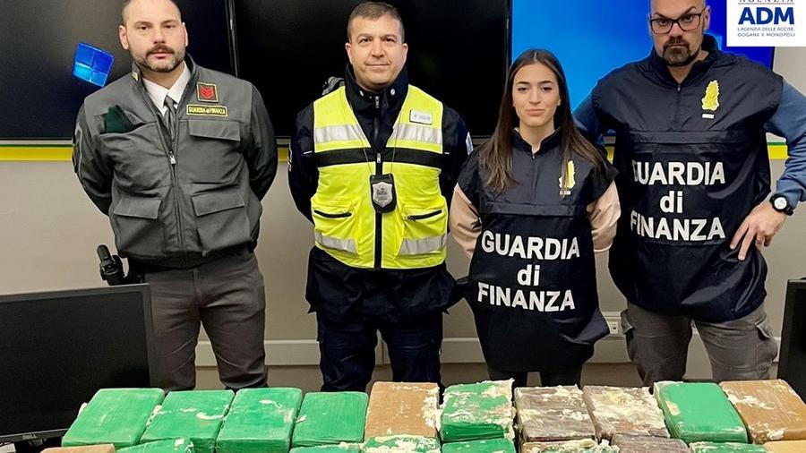Sequestrati 208 chili di cocaina nel porto di Livorno: erano nascosti tra banane e caffè – Video