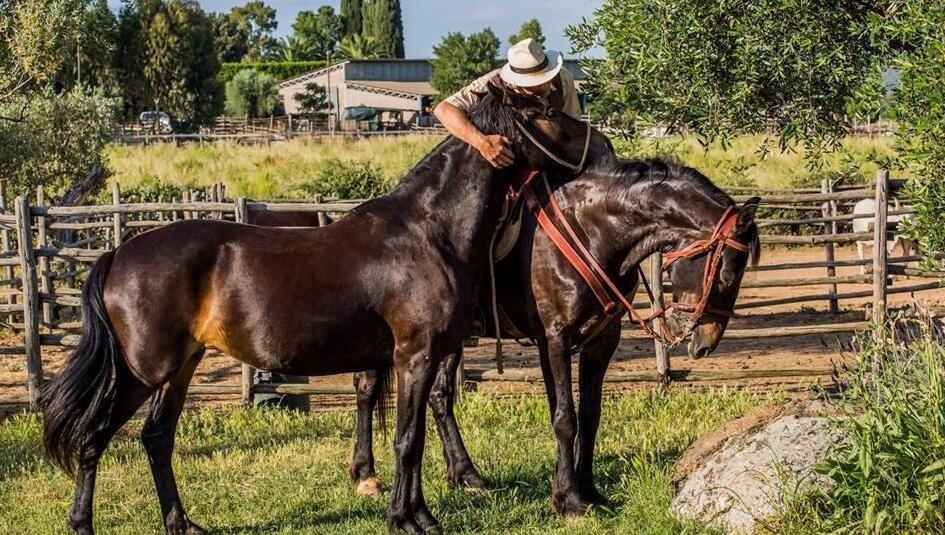 Ecco il Festival del cavallo 