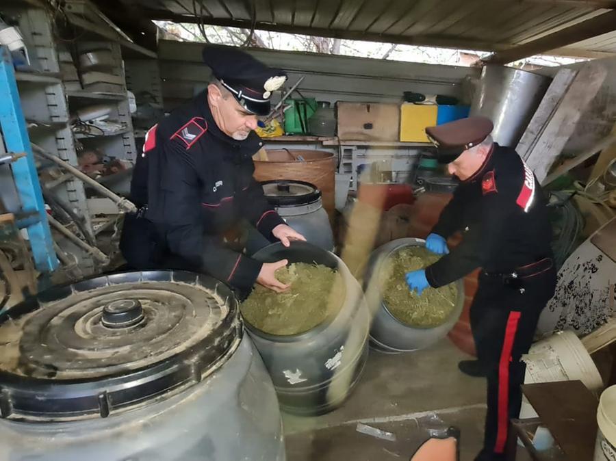 Coltivava droga, arrestato dai carabinieri