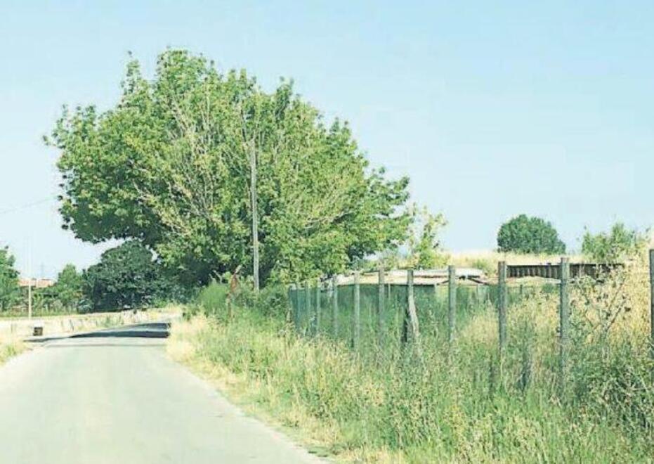 Musigliano, le baracche abusive entrano nel patrimonio comunale