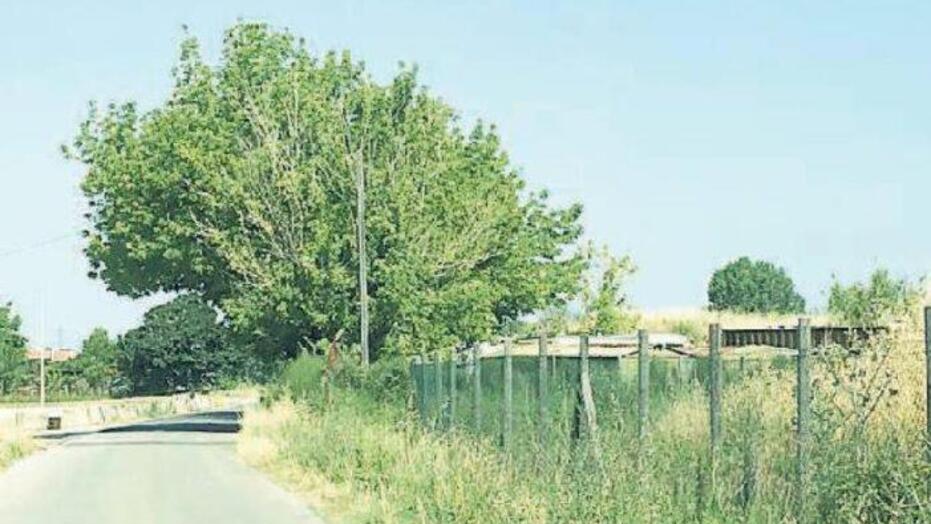 Musigliano, le baracche abusive entrano nel patrimonio comunale