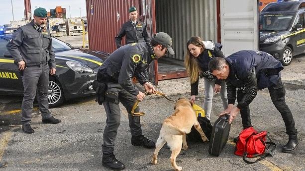 Livorno snodo della cocaina ma le cosche vogliono essere invisibili