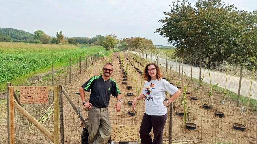 Si sposano e donano 100 alberi al loro paese, gli invitati li aiutano a piantarli