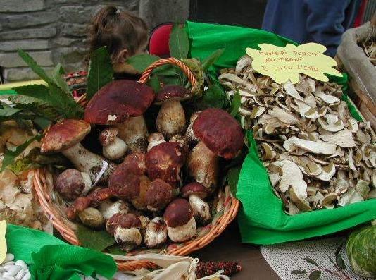 Cercatori di funghi soccorsi a Piteglio due volte in un fine settimana