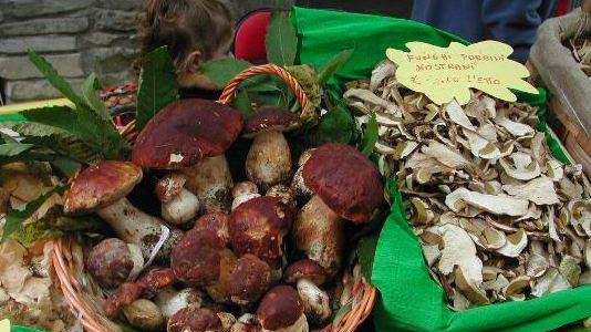 Cercatori di funghi soccorsi a Piteglio due volte in un fine settimana