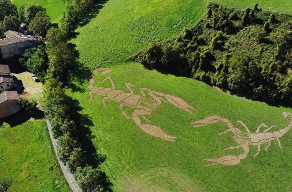 I due scorpioni giganti realizzati da Francesco: «Ecco la mia Land Art sulle colline di Guiglia» 