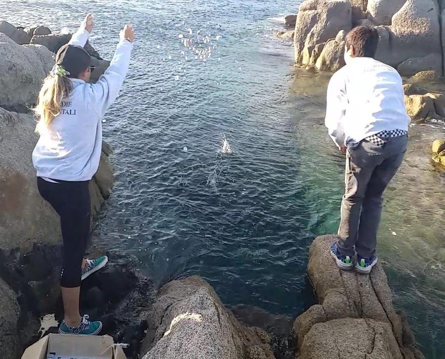 Spiagge sarde depredate: 900 chili di pietre, conchiglie e sabbia tornano a Villasimius