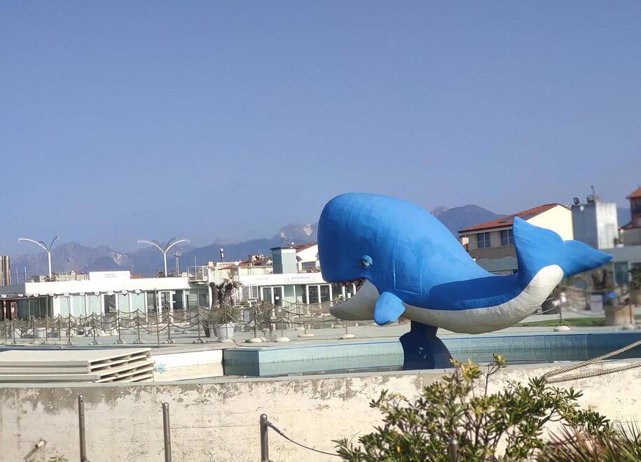 Viareggio, il bagno Balena tra bufera e rinascita: corsa contro il tempo per non perdere la stagione 2023