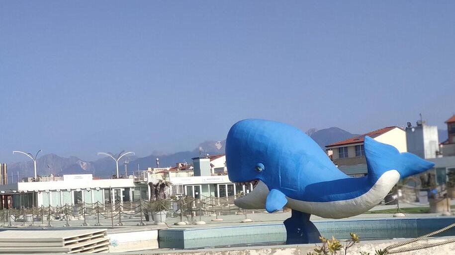 Viareggio, il bagno Balena tra bufera e rinascita: corsa contro il tempo per non perdere la stagione 2023