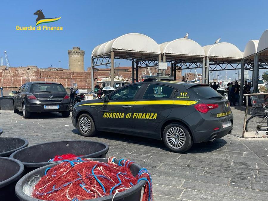 Darsena vecchia, la finanza scopre 8 lavoratori in nero: “E sulla banchina forte degrado”
