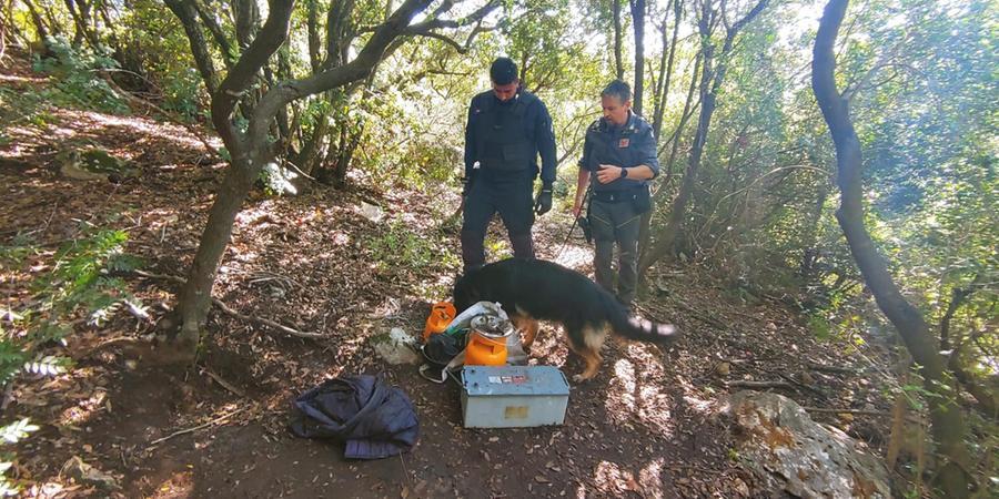 Orbetello, blitz anti-droga e contro il degrado