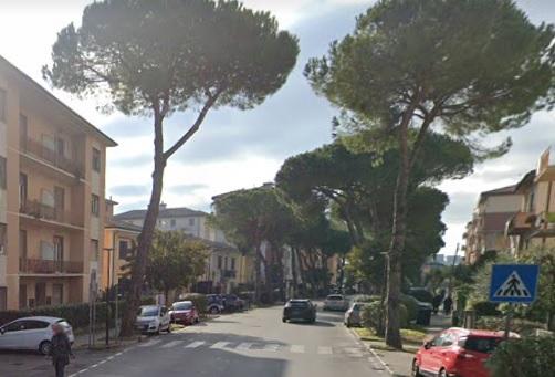 
	Via dell'Aeroporto: qui &egrave; avvenuto l'incidente

