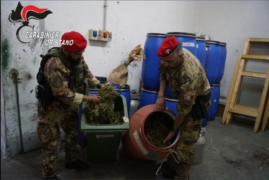 Droga nell’Oristanese: otto arresti dei carabinieri