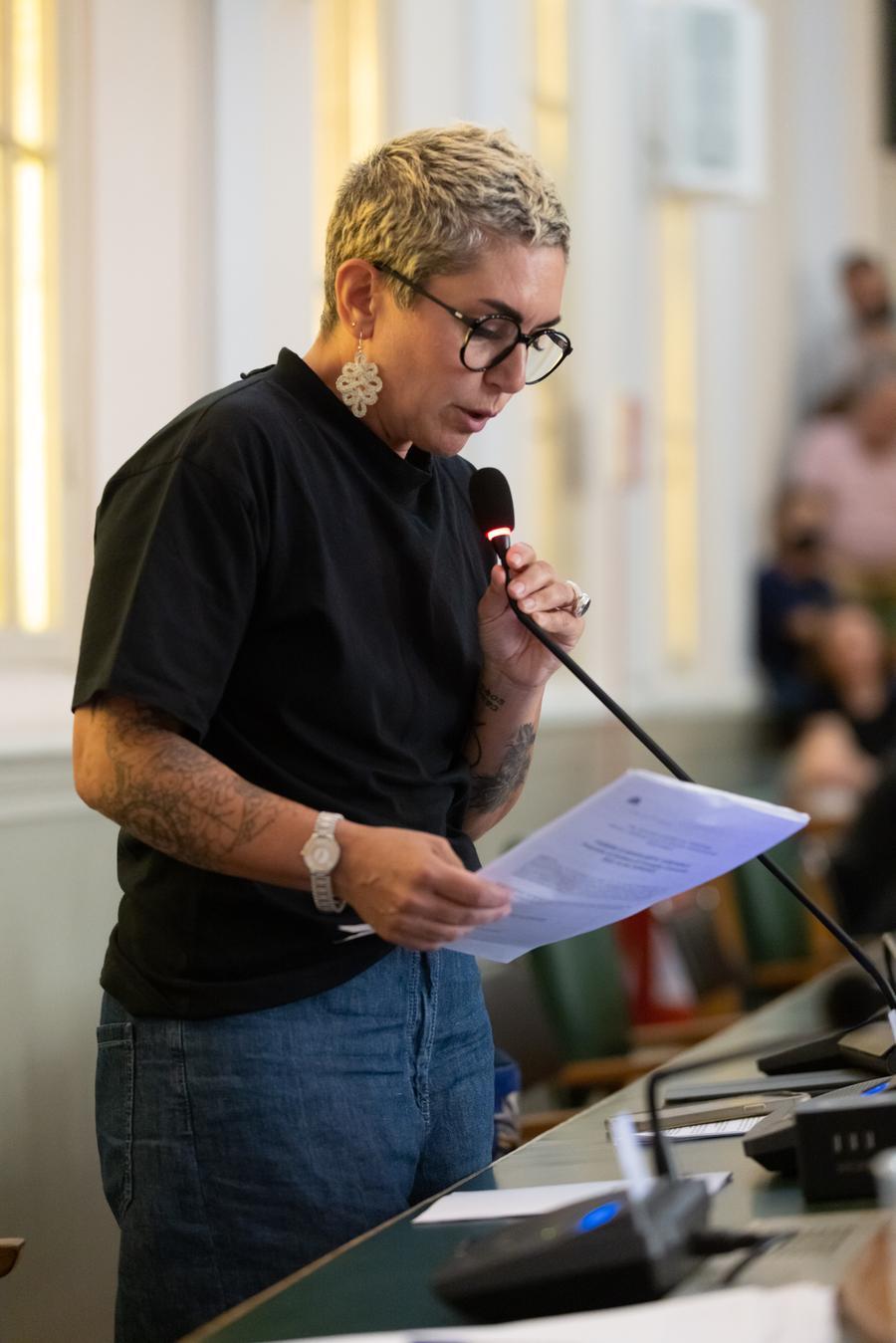 ILARIA BARALDIVOTO DELIBIERA NUOVO CENTRO COMMERCIALE CALDIROLO FERIS CONSIGLIO COMUNALE FERRARA