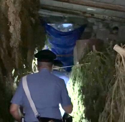 Tonnellate di droga dentro il capannone: gli arrestati dal gip 