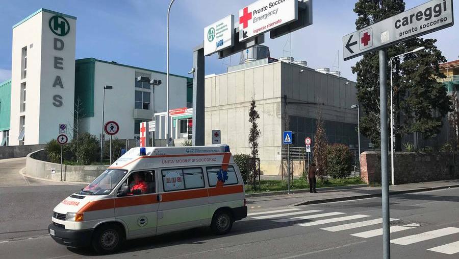 Intossicati dai funghi, 44 in ospedale in Toscana in pochi giorni: uno è gravissimo