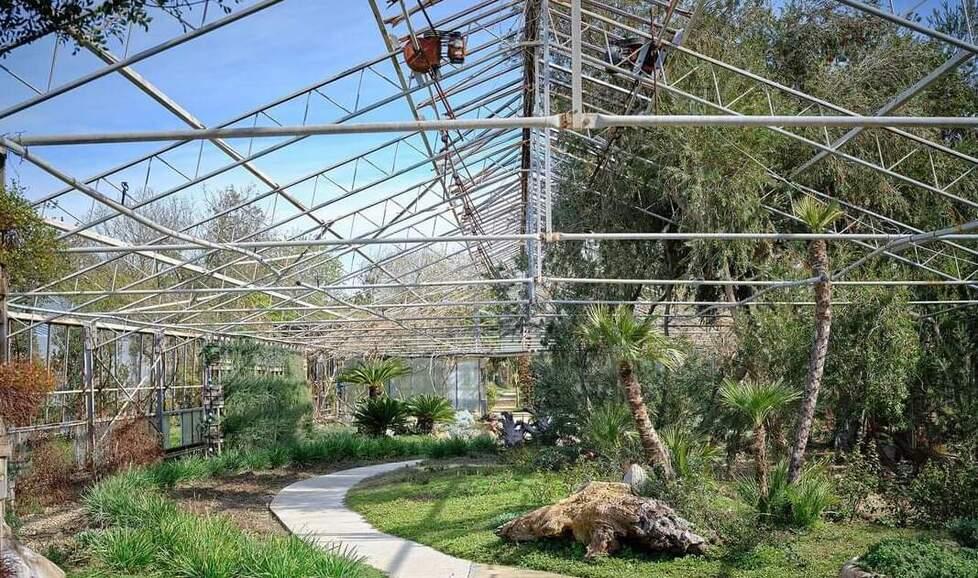 Dalla Grecia alla Sardegna storia dei giardini mediterranei