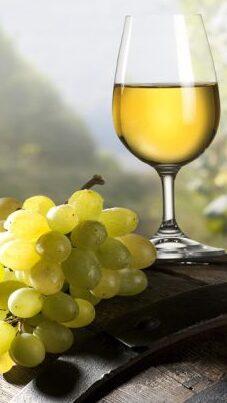 Benvenuto Vermentino: un calice di bianco ed è aria di festa