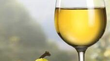 Benvenuto Vermentino: un calice di bianco ed è aria di festa