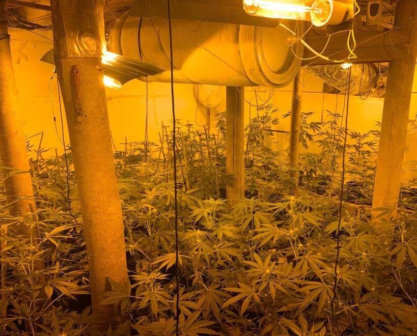 Ora Prato esporta droga verso i paesi del Nord Europa