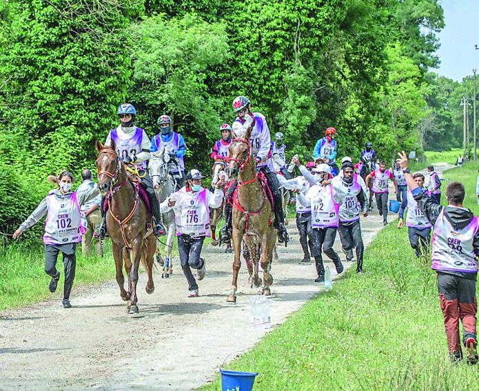 San Rossore ora si propone per il Fei Endurance 2023: la città vuole essere al centro del mondo