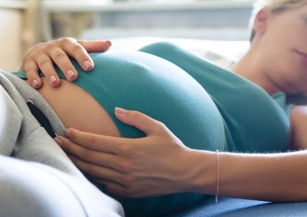 Modena. «Utero in affitto pratica criminale? Da Giovanardi accuse gravi e false» 