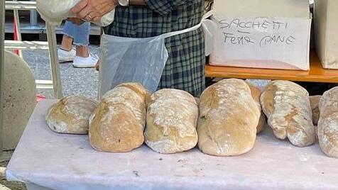 Una bella immagine della festa del pane che si tiene ogni anno a Lucca