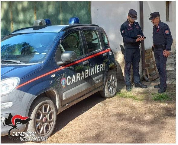 Monte Argentario, trovate costruzioni abusive