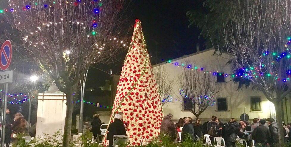 Nella foto l'albero delle rose contro la violenza sulle donne in piazza Carducci nel 2016
