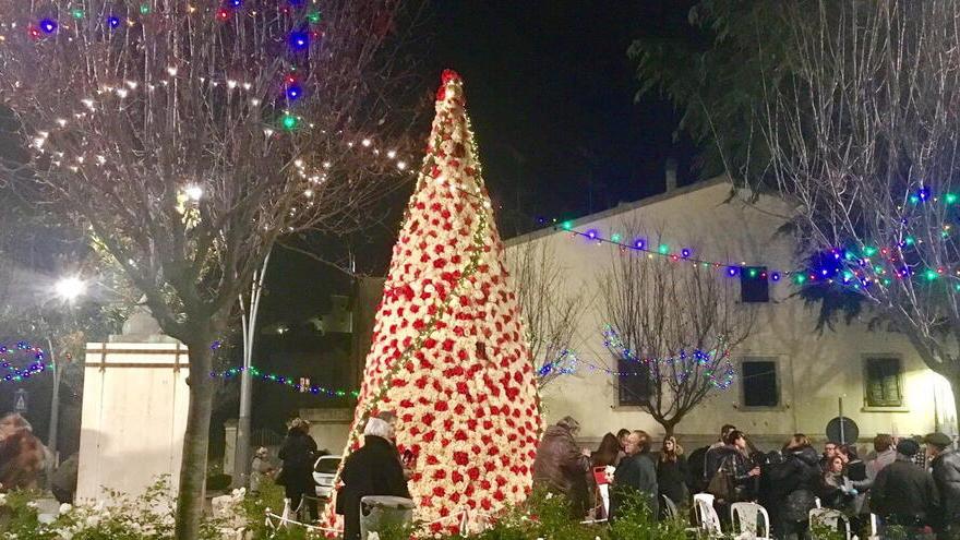 Nella foto l'albero delle rose contro la violenza sulle donne in piazza Carducci nel 2016